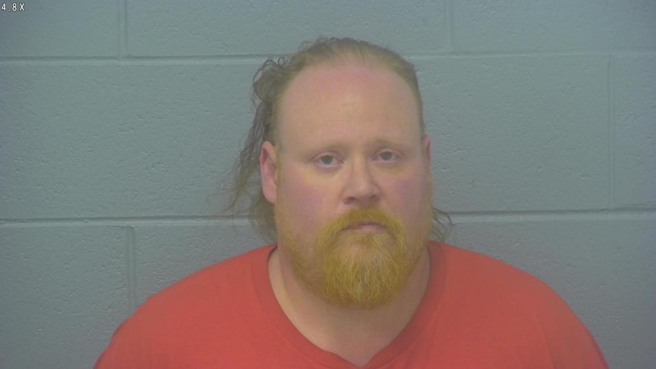 Arrest photo of AARON WOLD