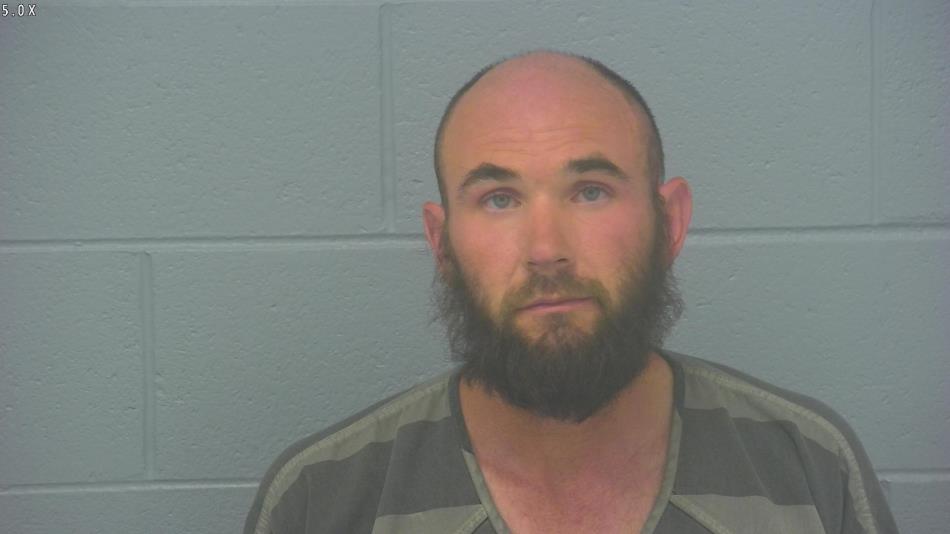 Arrest photo of AARON BRIDGES