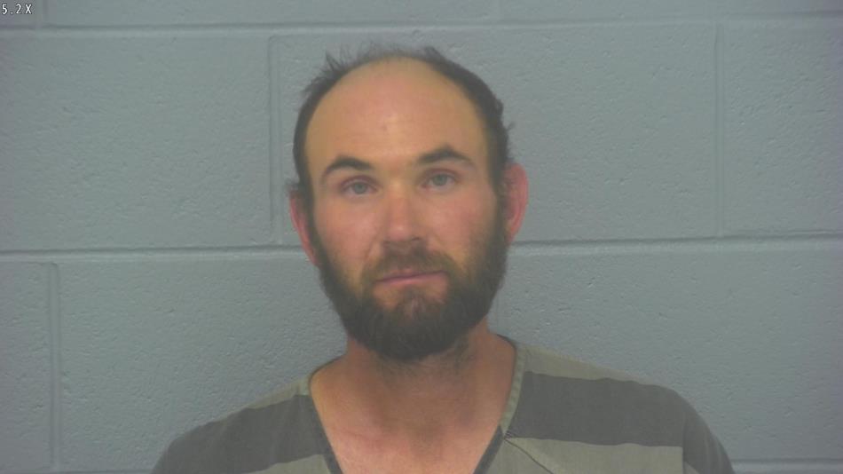 Arrest photo of AARON BRIDGES