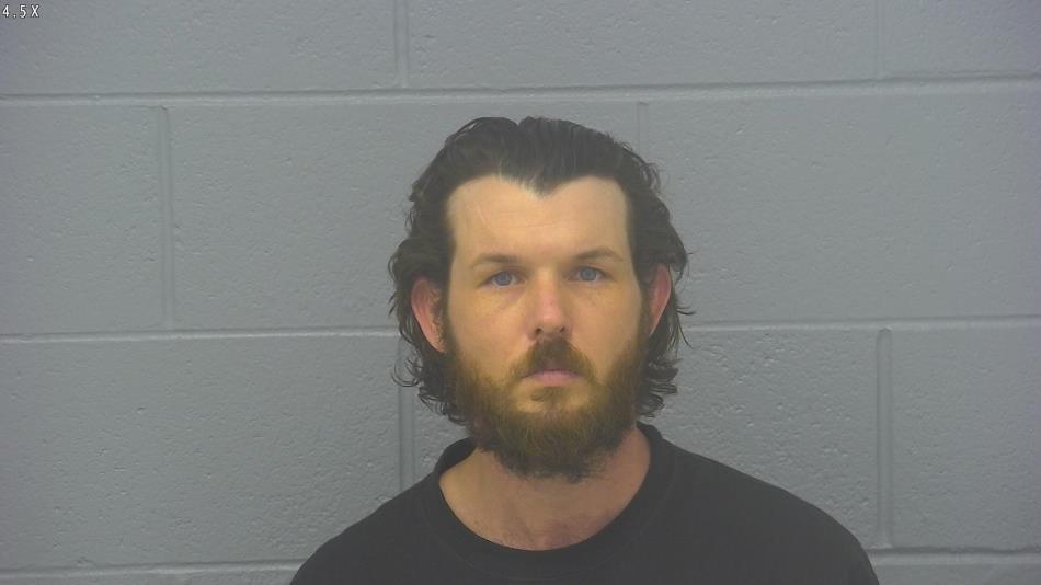 Arrest photo of AARON HORTON