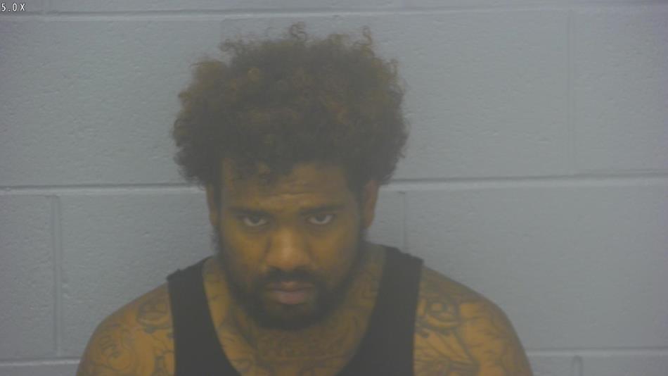 Arrest photo of AARON LANG