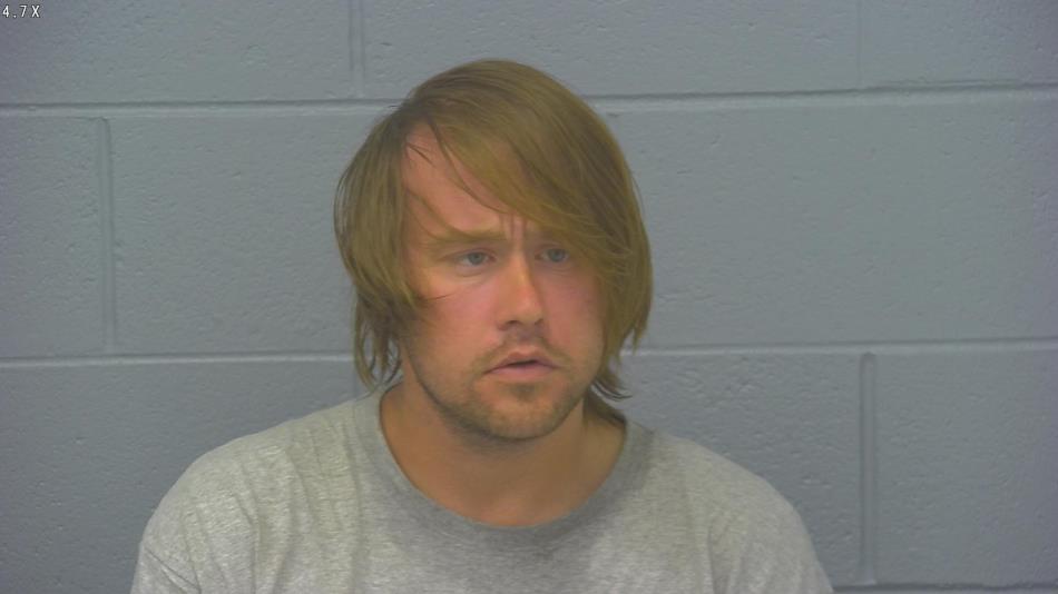 Arrest photo of AARON DODSON