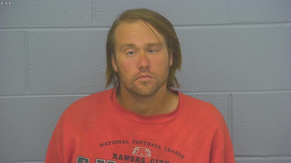 Arrest photo of AARON DODSON