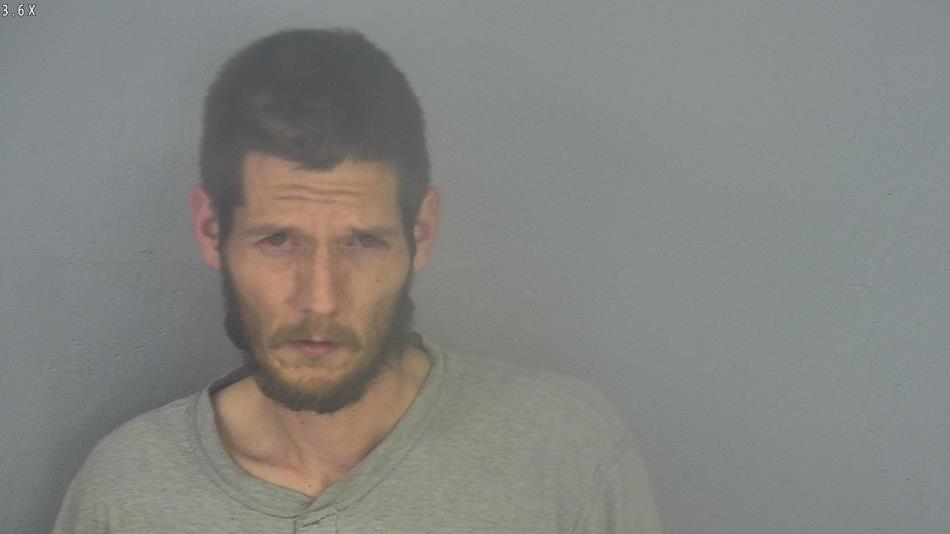 Arrest photo of AARON TOLER