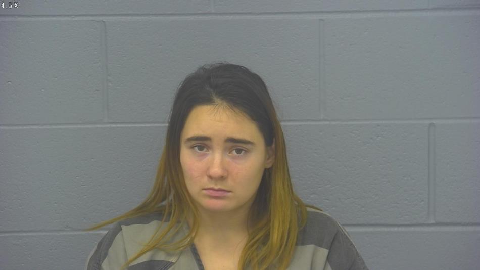 Arrest photo of ABIGALE HAGEMEISTER