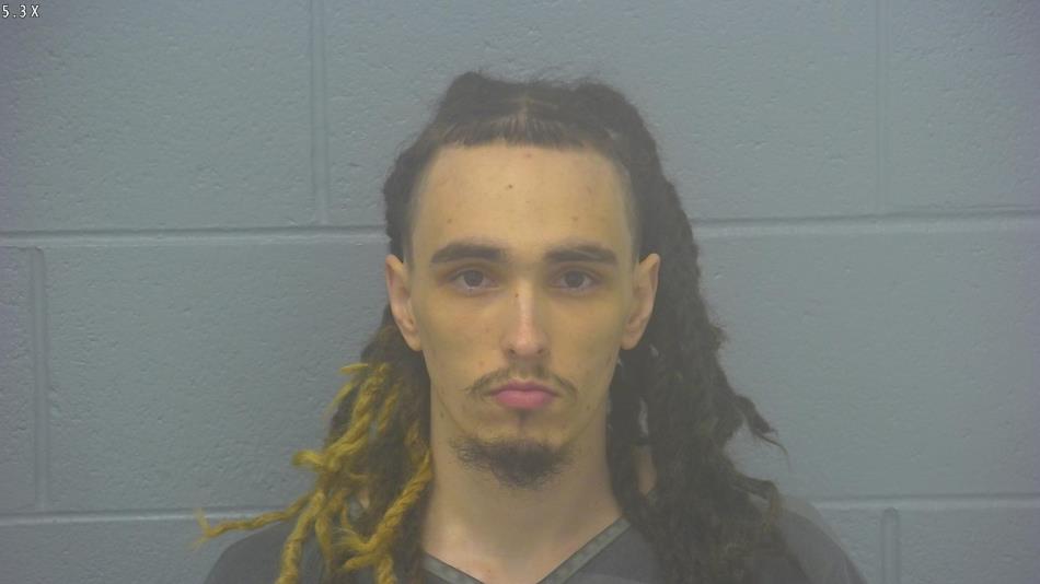Arrest photo of ABINADI LAUB