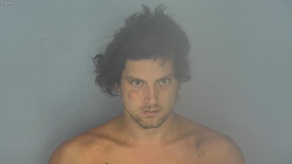 Arrest photo of ADAM TEXEIRA 