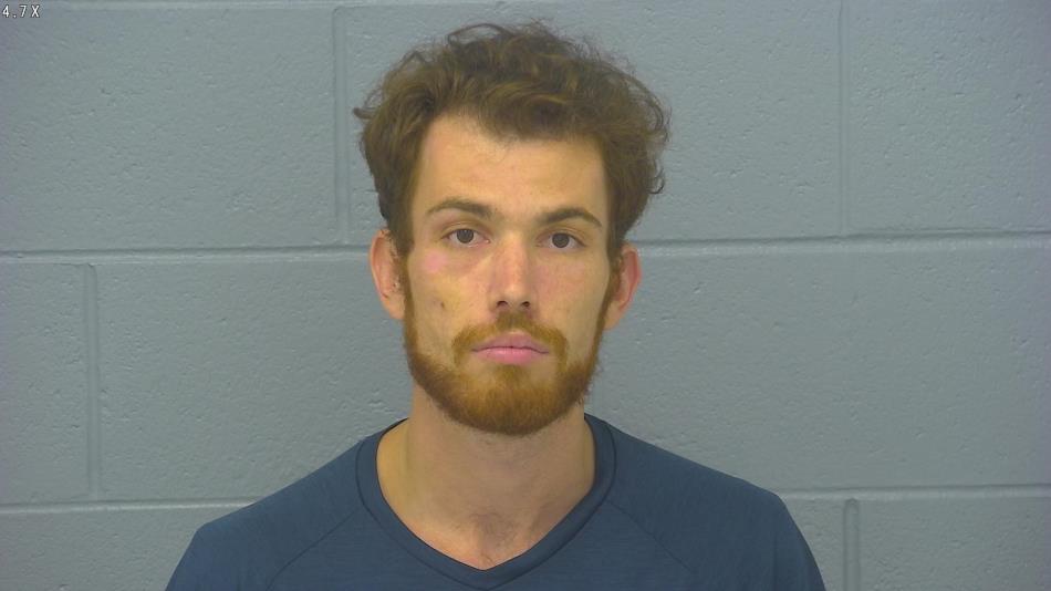 Arrest photo of ADAM HANNAH