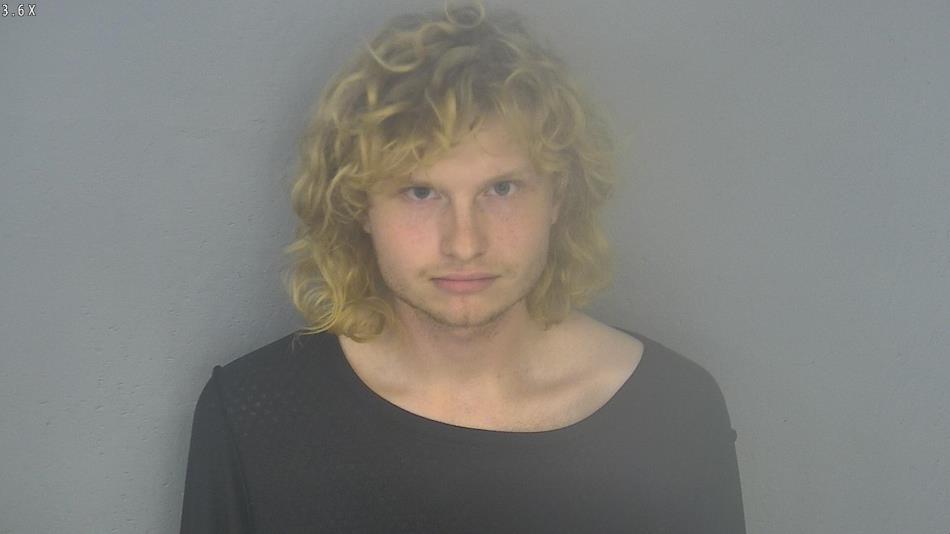 Arrest photo of ADAM WILSON