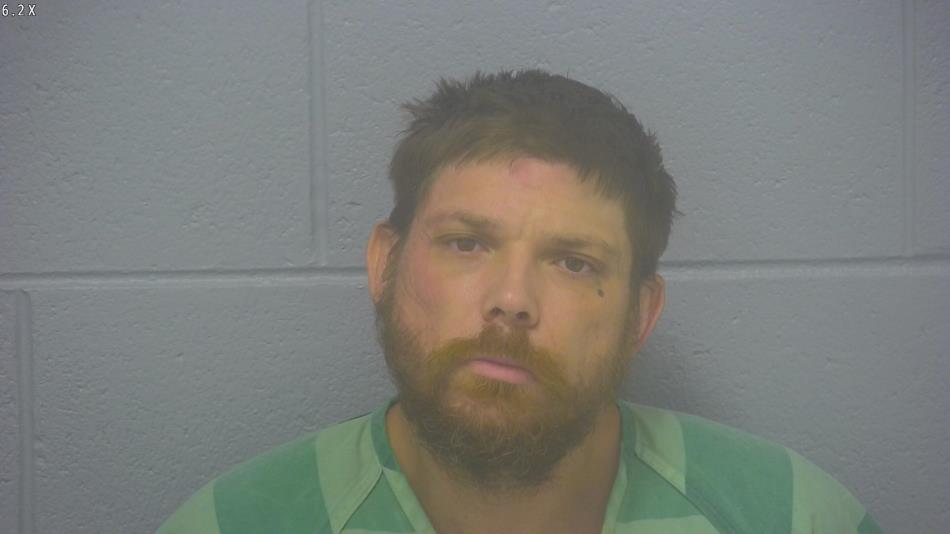 Arrest photo of ADRAIN ROHMAN