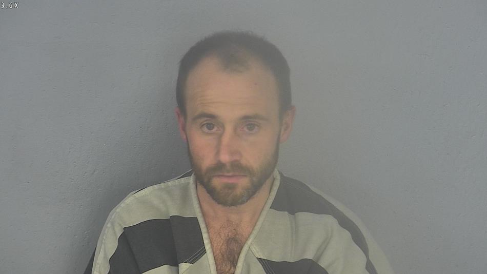 Arrest photo of ADRIAN JOHNSON
