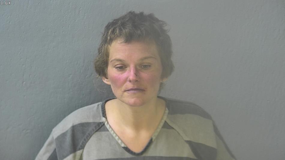 Arrest photo of AFTON CUSHMAN