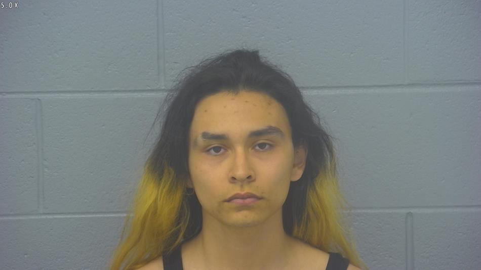 Arrest photo of AIDAN SIETSTRA