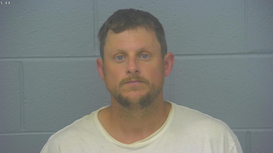 Arrest photo of ALAN BRIGGS