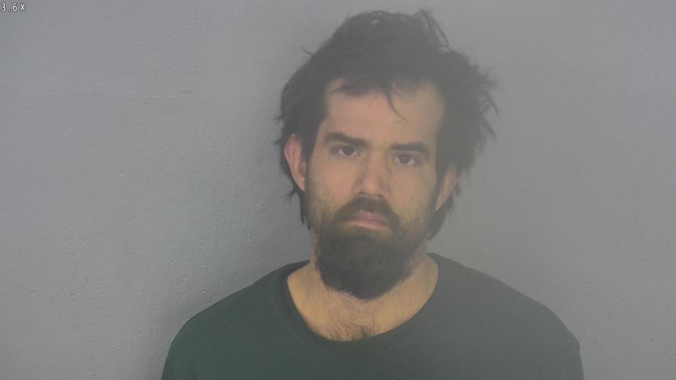 Arrest photo of ALAN CHEEK