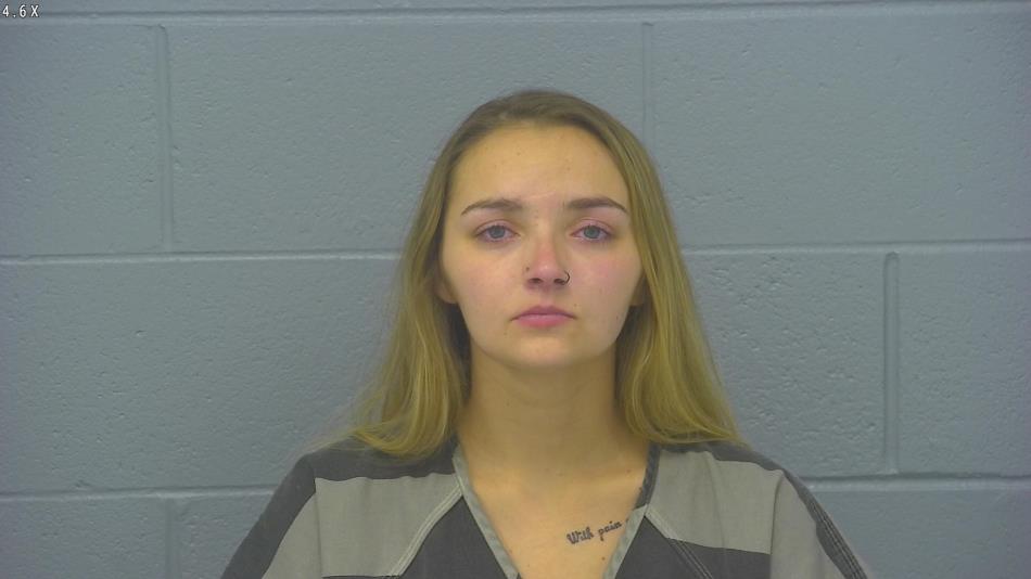Arrest photo of ALEAH PALMER