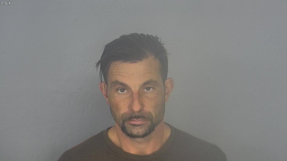 Arrest photo of ALEKSANDR SHCHERBAKOV