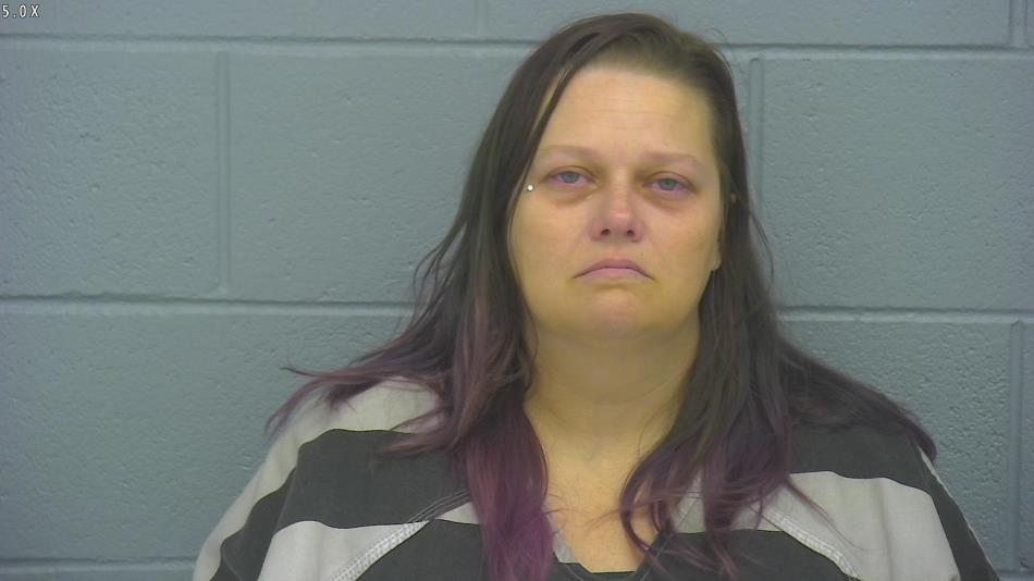 Arrest photo of ALETA POLLARD