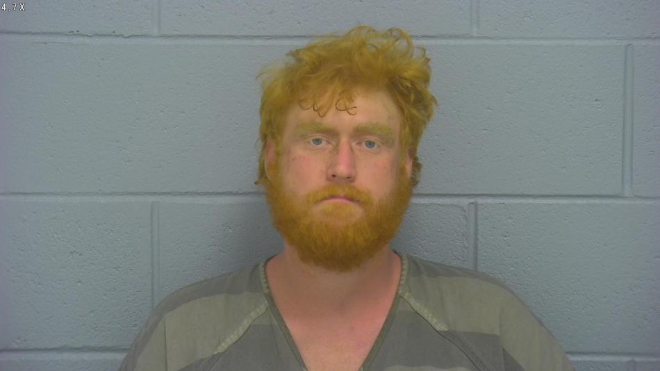 Arrest photo of ALEX WALKER