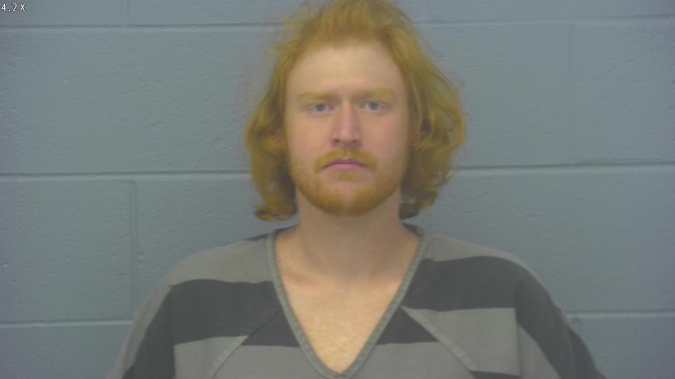 Arrest photo of ALEX WALKER