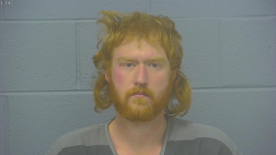 Arrest photo of ALEX WALKER