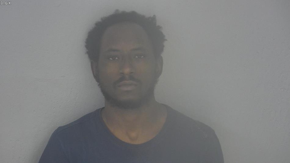 Arrest photo of ALEX ALLISON