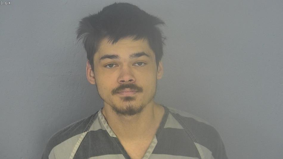 Arrest photo of ALEX SAKAOKA