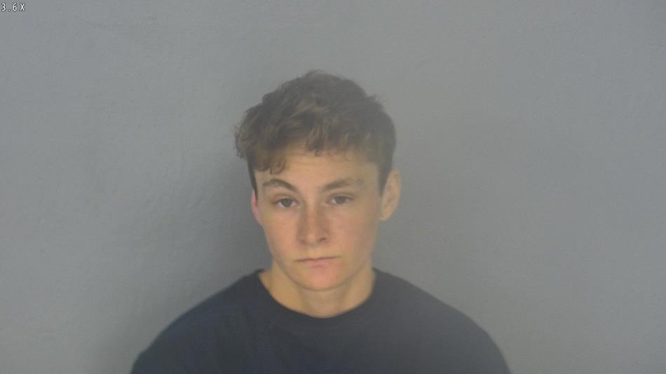 Arrest photo of ALEXANDRA MILLER