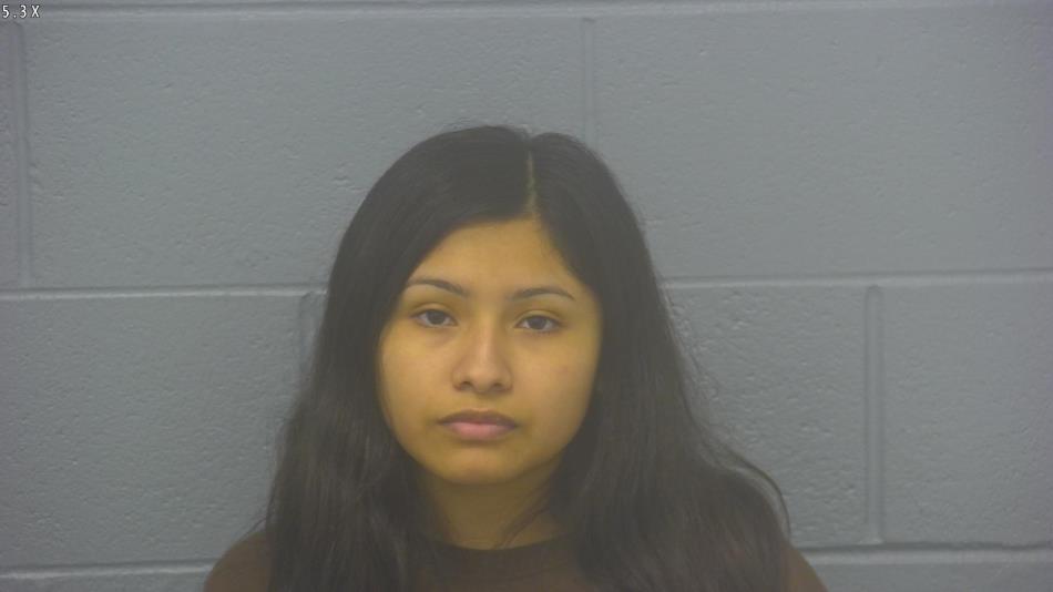 Arrest photo of ALEXANDRA ALVARADO