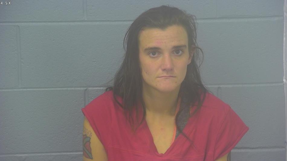 Arrest photo of ALEXANDRIA FRITCH