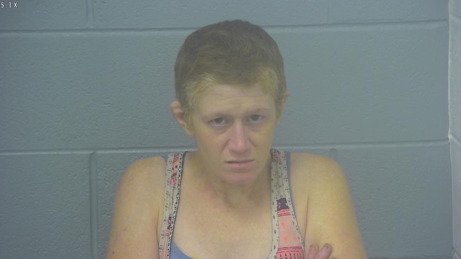 Arrest photo of ALEXANDRIA  SILCOX