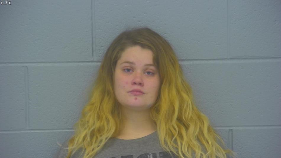 Arrest photo of ALEXIS COOK