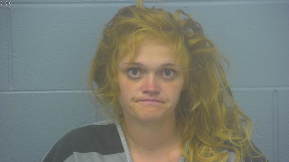 Arrest Photo of ALEXSYS BRITT, arrested on 4/16/2024