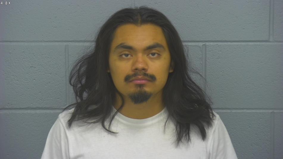 Arrest photo of ALFREDO VIZCAINO