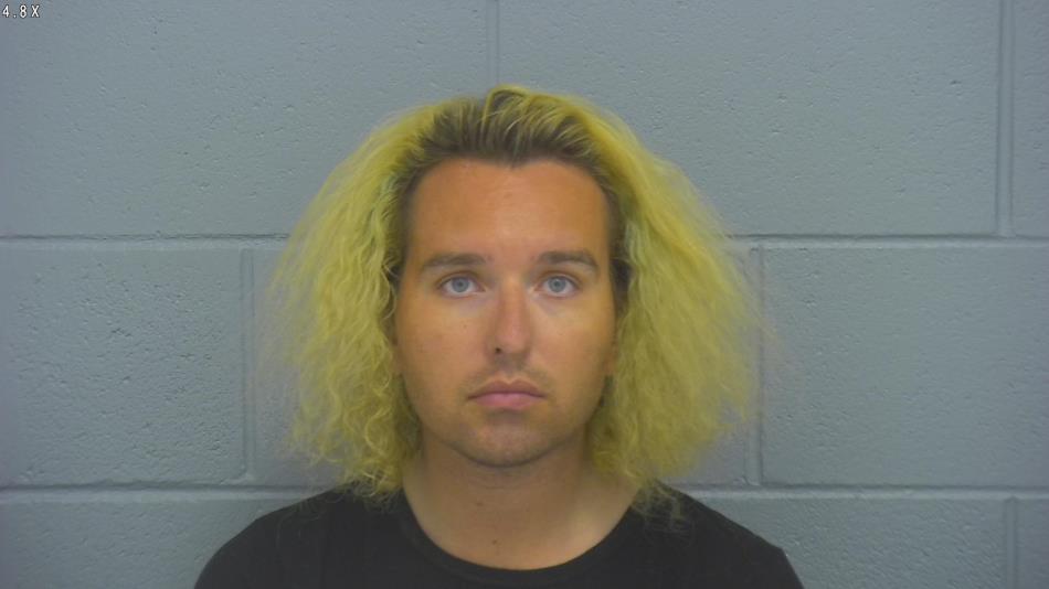 Arrest photo of ALICESON BREWSLEY