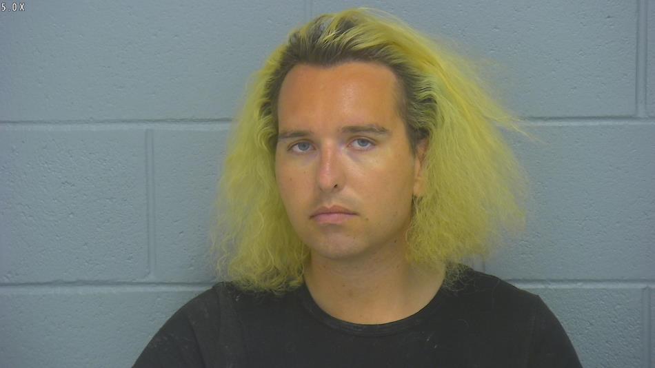 Arrest photo of ALICESON BREWSLEY