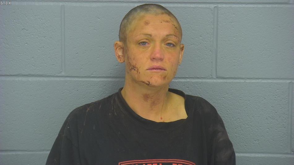Arrest photo of ALISHA GAINES