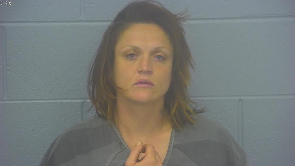 Arrest photo of ALISHA GAINES