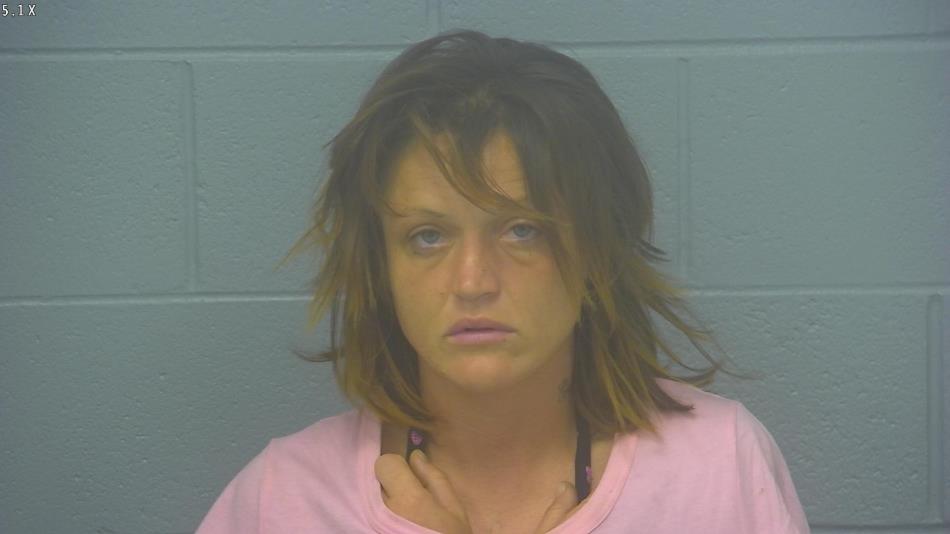 Arrest Photo of ALISHA GAINES, arrested on 7/17/2024