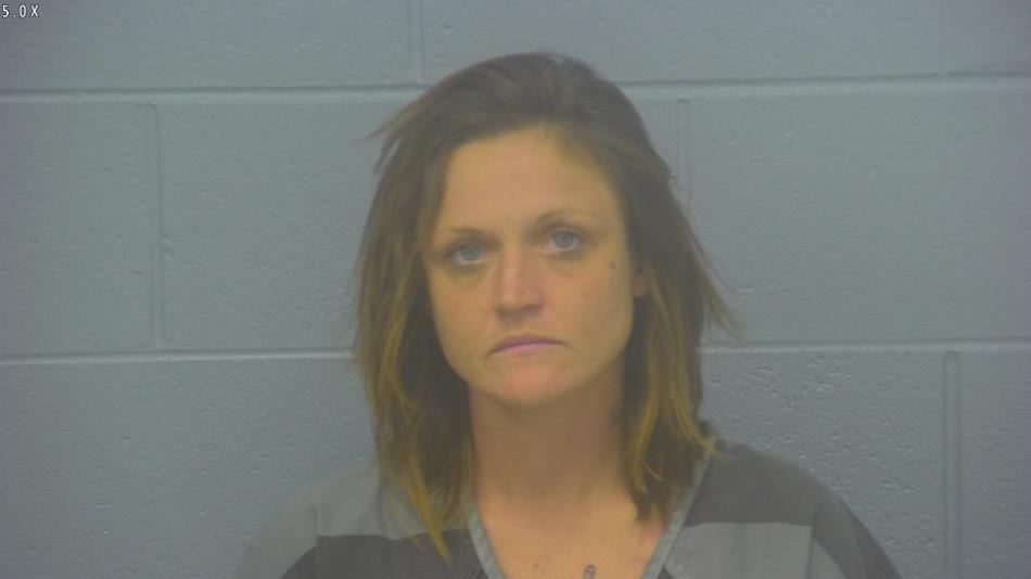 Arrest photo of ALISHA GAINES