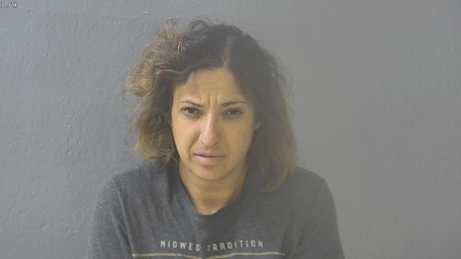 Arrest photo of ALISHA WATT