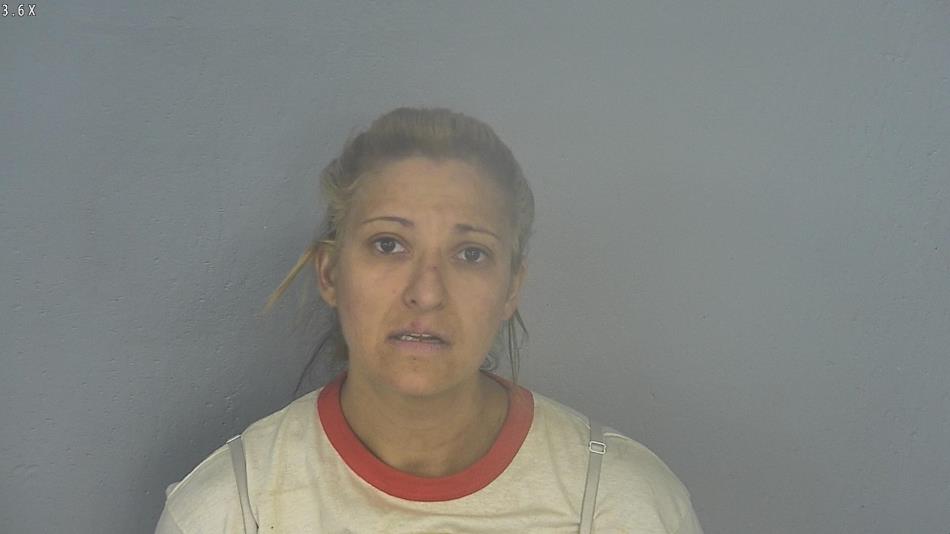 Arrest photo of ALISHA WATT