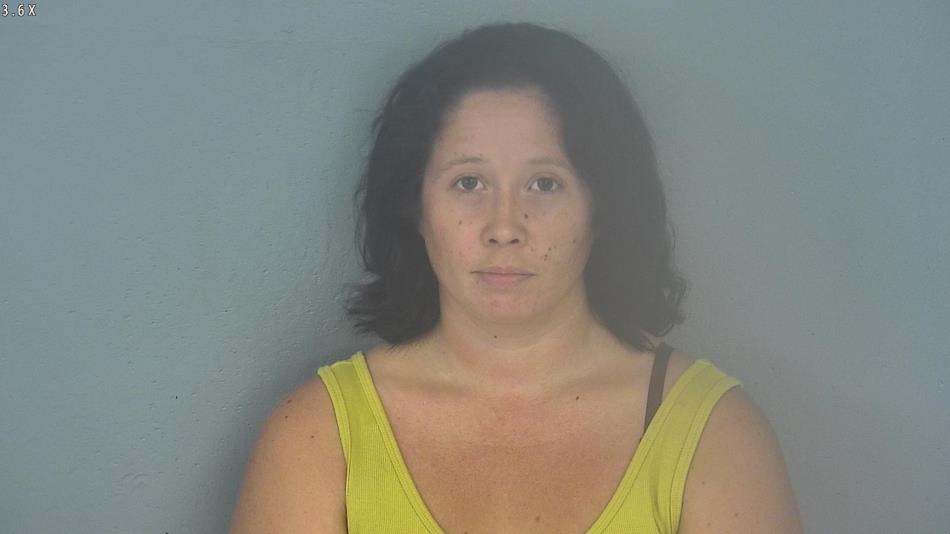 Arrest photo of ALISON JANSS
