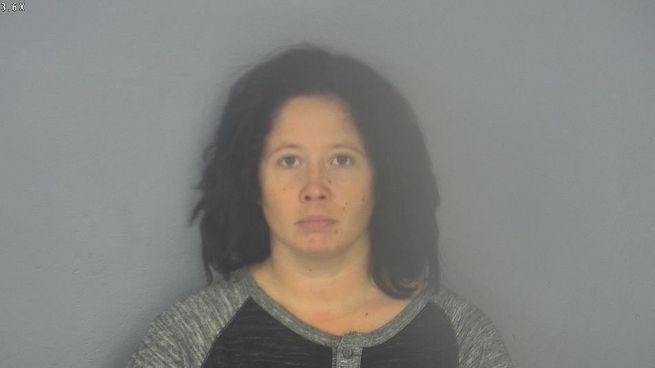 Arrest photo of ALISON JANSS