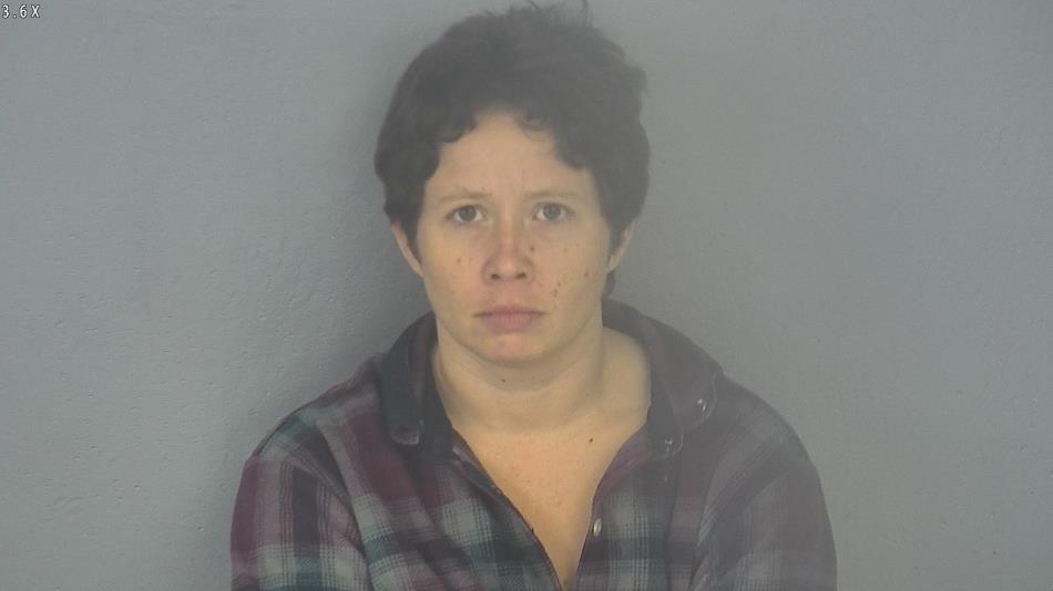 Arrest photo of ALISON JANSS