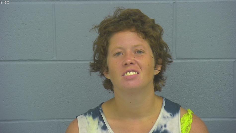 Arrest photo of ALISON JANSS