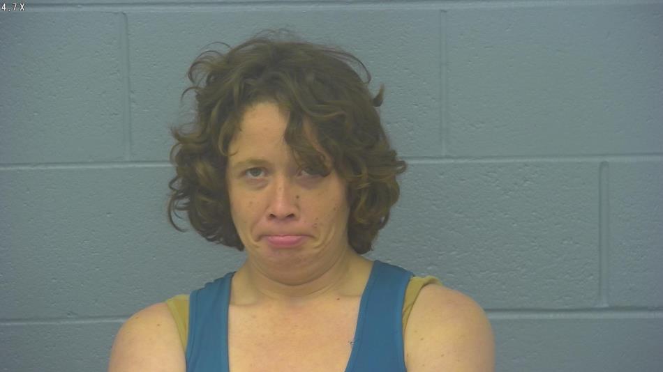 Arrest photo of ALISON JANSS