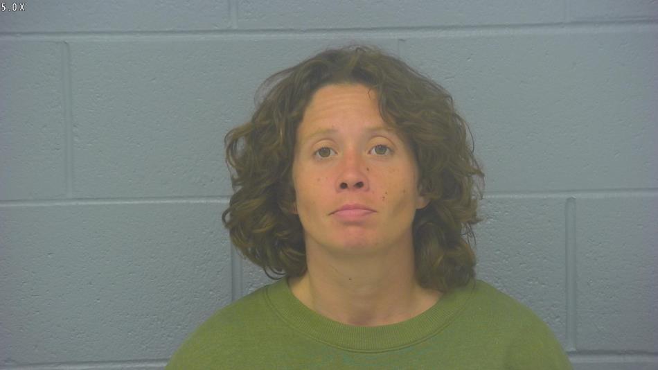 Arrest photo of ALISON JANSS