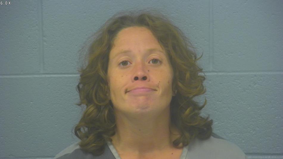 Arrest photo of ALISON JANSS