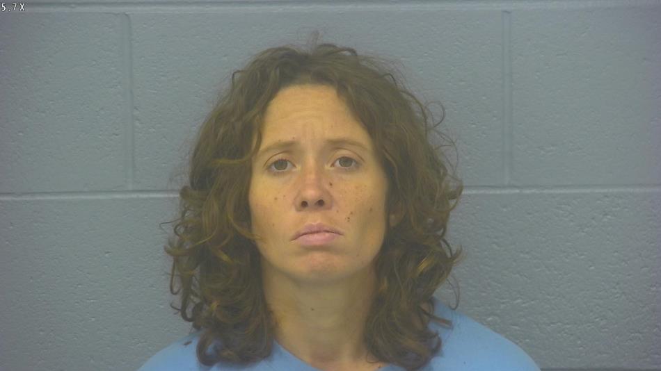 Arrest photo of ALISON JANSS